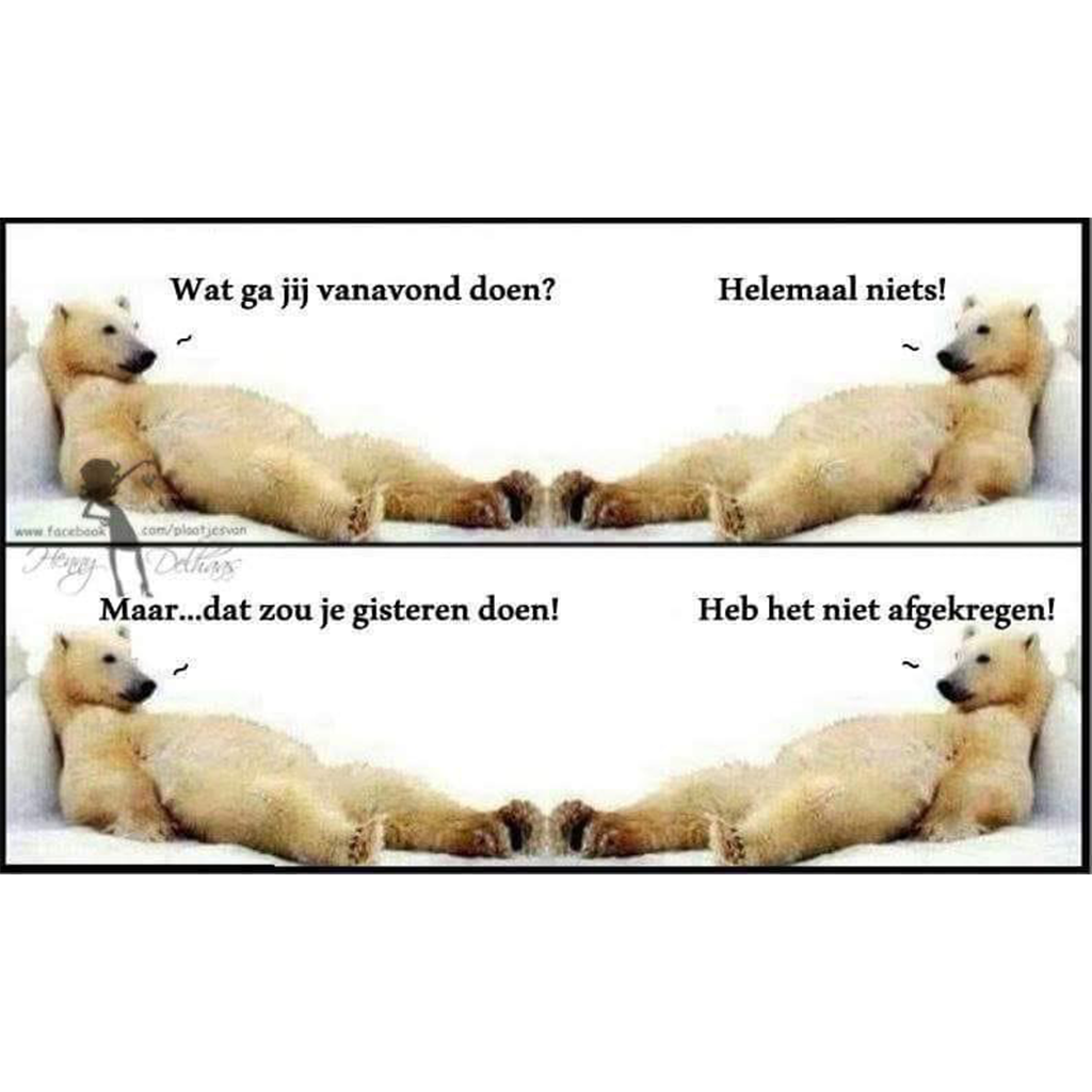Meme-5